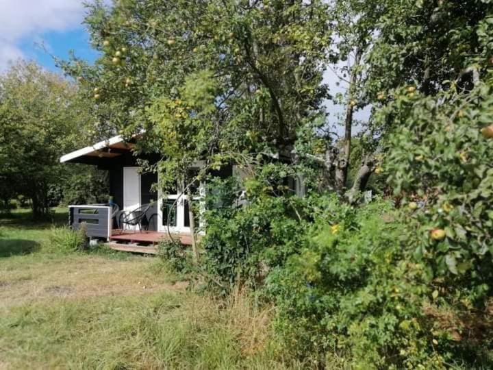Kiszkowianka Domki Skrzeszewo  エクステリア 写真